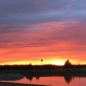 Meet your Posher, Nadine